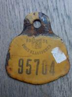 Fietsplaat Oost-Vlaanderen 1934, Antiek en Kunst, Ophalen of Verzenden