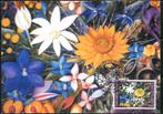 België 2000 Maxikaart OBP MK 2935, Postzegels en Munten, Postzegels | Europa | België, Met stempel, Ophalen of Verzenden, Postfris
