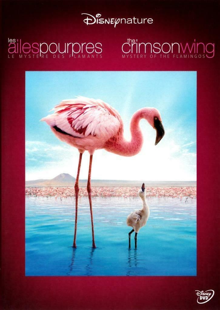 Gezocht Disney Nature, Cd's en Dvd's, Dvd's | Documentaire en Educatief, Natuur, Alle leeftijden, Ophalen of Verzenden