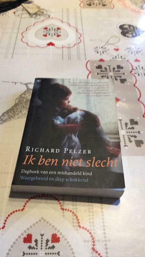 Ik ben niet slecht (#), Boeken, Romans, Zo goed als nieuw, Ophalen