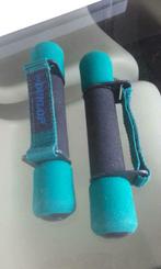 2 alteres, Sport en Fitness, Fitnessmaterialen, Ophalen, Halterschijven
