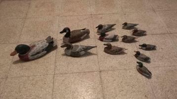 Verzameling van 12 houten eendjes uit Hong Kong beschikbaar voor biedingen