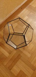 Terrarium voor planten, Huis en Inrichting, Ophalen of Verzenden, Nieuw, Glas