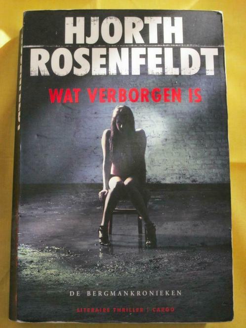 Hjorth Rosenfeldt - Wat verborgen is, Livres, Thrillers, Utilisé, Scandinavie, Enlèvement ou Envoi