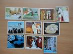 10 chromos stickers panini 101 dalmatiens 1980 walt disney, Comme neuf, Enlèvement ou Envoi