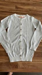 Vest meisjes Someone, maat 128, 8 jaar, Kinderen en Baby's, Ophalen of Verzenden, Zo goed als nieuw, Meisje, Trui of Vest