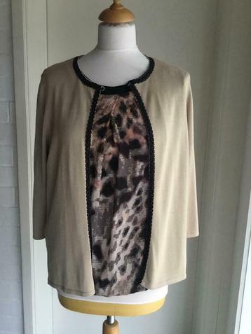 Blouse Betty Barclay et cardigan Peter Hahn 36/38 NOUVEAU, Neuf, Enlèvement ou Envoi, Betty Barclay, Taille 36 (S)