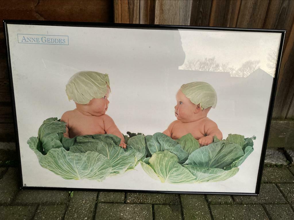 Baby’tje kader, Enlèvement, Comme neuf