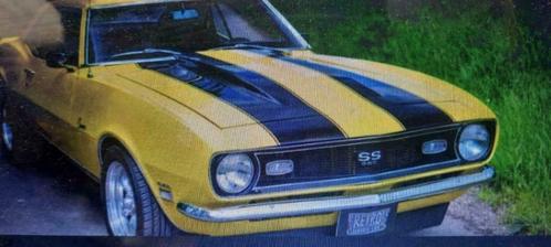 Oldtimer/Classic Cars Ford Mustang 2+2, Auto's, Overige Auto's, Bedrijf, Benzine, Automaat, Ophalen