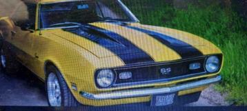 Oldtimer/Classic Cars Ford Mustang 2+2