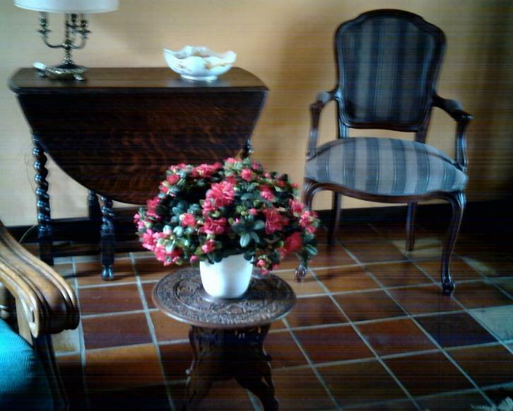 2 Boudoir bijzetstoelen met armleuning, Antiek en Kunst, Antiek | Meubels | Stoelen en Sofa's, Ophalen