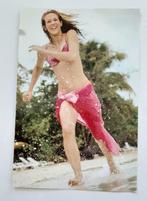 sticker panini fan club de Lorie n° 75 en parfait état, Enlèvement ou Envoi