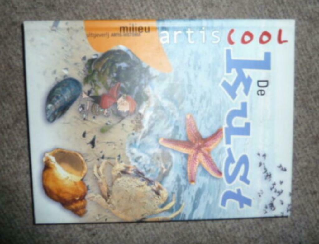 boek DE KUST uit de reeks " Artiscool - Milieu ", Livres, Livres pour enfants | Jeunesse | 13 ans et plus, Comme neuf, Non-fiction