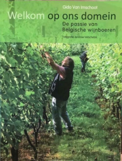 Welkom op ons domein, Gido Van Imschoot, Boeken, Overige Boeken, Ophalen of Verzenden