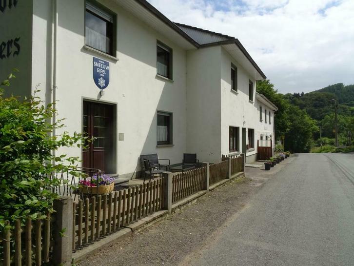 Vakantiewoning Burg-Reuland (Max. 16 pers), Vakantie, Vakantiehuizen | België, Ardennen of Luxemburg, Landhuis of Villa, Landelijk