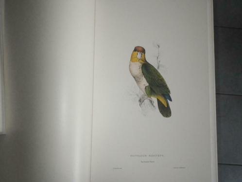 The Family of psittacidae or parrots, Edward Lear, Boeken, Dieren en Huisdieren, Zo goed als nieuw, Vogels, Ophalen