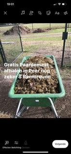 Paardemest met stro, Enlèvement, Fumier