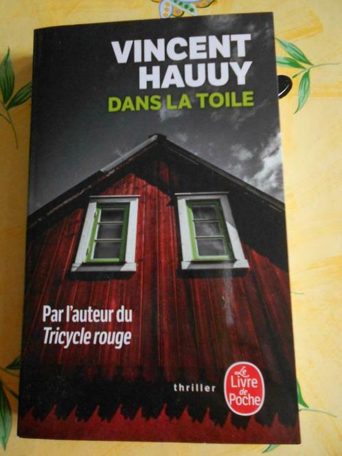 Dans la toile de Vincent Hauuy LIVRE DE POCHE, Livres, Thrillers, Comme neuf, Europe autre, Enlèvement ou Envoi