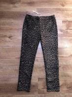 Nieuwe broek maat XL, Kleding | Dames, ANDERE, Ophalen of Verzenden, Nieuw, Maat 46/48 (XL) of groter
