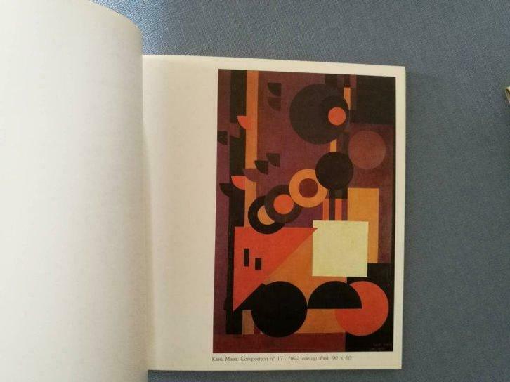 Constructivisme in België 110pag 100ill., Boeken, Kunst en Cultuur | Beeldend, Nieuw, Ophalen of Verzenden