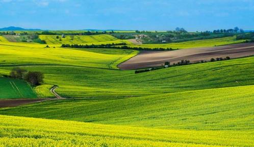 Recherche terre agricole, Immo, Terrains & Terrains à bâtir