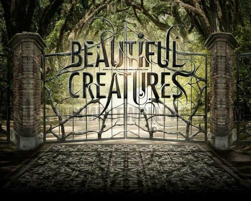 Affiche "Beautiful Creatures" - "Sublimes créatures", Verzamelen, Posters, Zo goed als nieuw, Film en Tv, Deurposter of groter