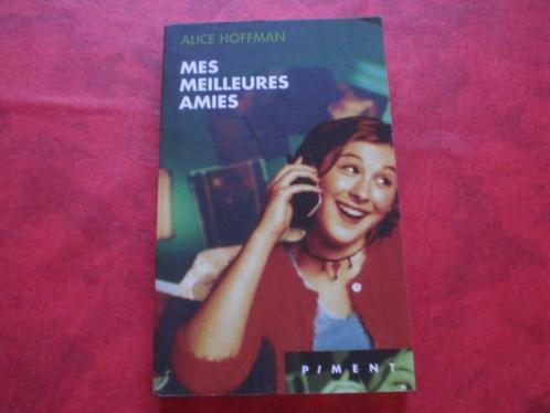 Livre Mes Meilleures Amies - Alice Hoffman, Boeken, Romans, Gelezen, Ophalen of Verzenden