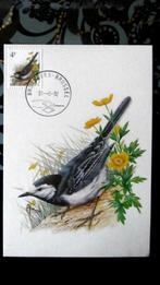 FIRST DAY OP KAART- VOGELS VAN BUZIN- DE WITTE KWIKSTAART, Postzegels en Munten, Ophalen of Verzenden, Gestempeld, Dier of Natuur