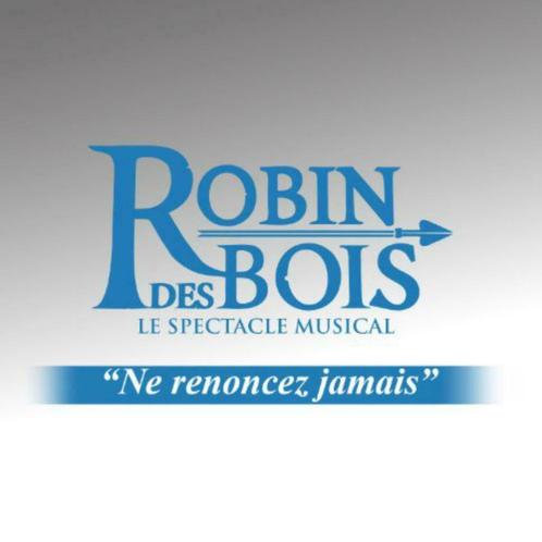 2CD+DVD Robin Des Bois-,Le Spectacle Musical: Ne Renoncez..., Cd's en Dvd's, Cd's | Filmmuziek en Soundtracks, Zo goed als nieuw