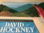 David Hockney Peintures 60 pag, Comme neuf, Enlèvement ou Envoi, Peinture et dessin