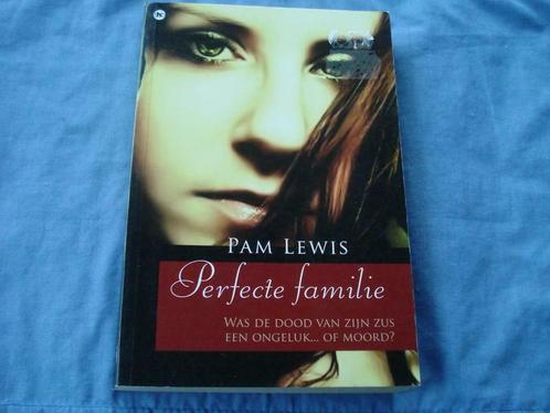 Perfecte familie ** Pam Lewis, Livres, Romans, Utilisé, Enlèvement ou Envoi