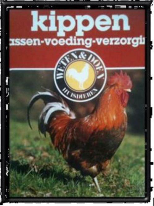 Kippen, Ruud Haak, Boeken, Dieren en Huisdieren, Gelezen, Pluimvee, Ophalen of Verzenden