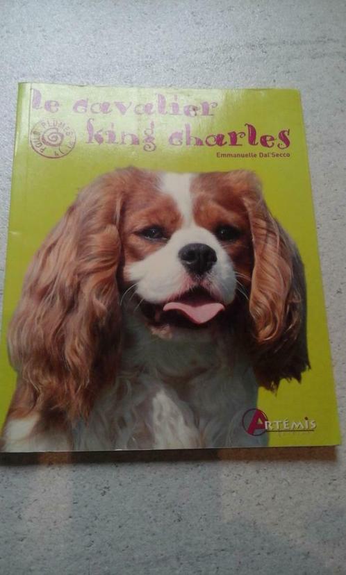 Livre - Le Cavalier King Charles - Editions Artémis, Livres, Livres Autre, Enlèvement ou Envoi