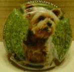 Champagne capsules - PLU - Cuvée Laura - (L 671), Verzamelen, Verzenden, Gebruikt