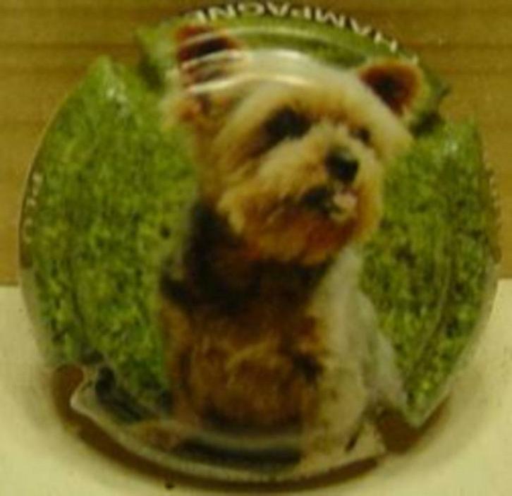 Champagne capsules - PLU - Cuvée Laura - (L 671), Verzamelen, Overige Verzamelen, Gebruikt, Verzenden