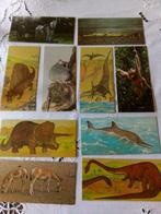 Nestlé wonderen der wereld 30 verschillende, Verzamelen, Merken en Reclamevoorwerpen, Ophalen of Verzenden