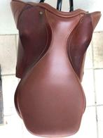 Chevaux selle brune, Enlèvement, Utilisé, Autres espèces