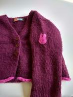 Bordeaux baby gilet met lange mouwen van Nijntje (12M), Gebruikt, Nijntje, Ophalen of Verzenden, Truitje of Vestje
