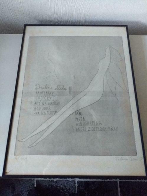 Kunst 2 Grafische werken - Katerina Cerna - tekening + litho, Antiek en Kunst, Kunst | Litho's en Zeefdrukken, Ophalen of Verzenden