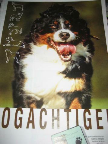 Bijlagen bij GVA HONDEN, Boeken, Ophalen of Verzenden, Nieuw, Honden