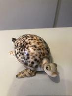 Tortue coquillages 11cm/6cm, Collections, Comme neuf
