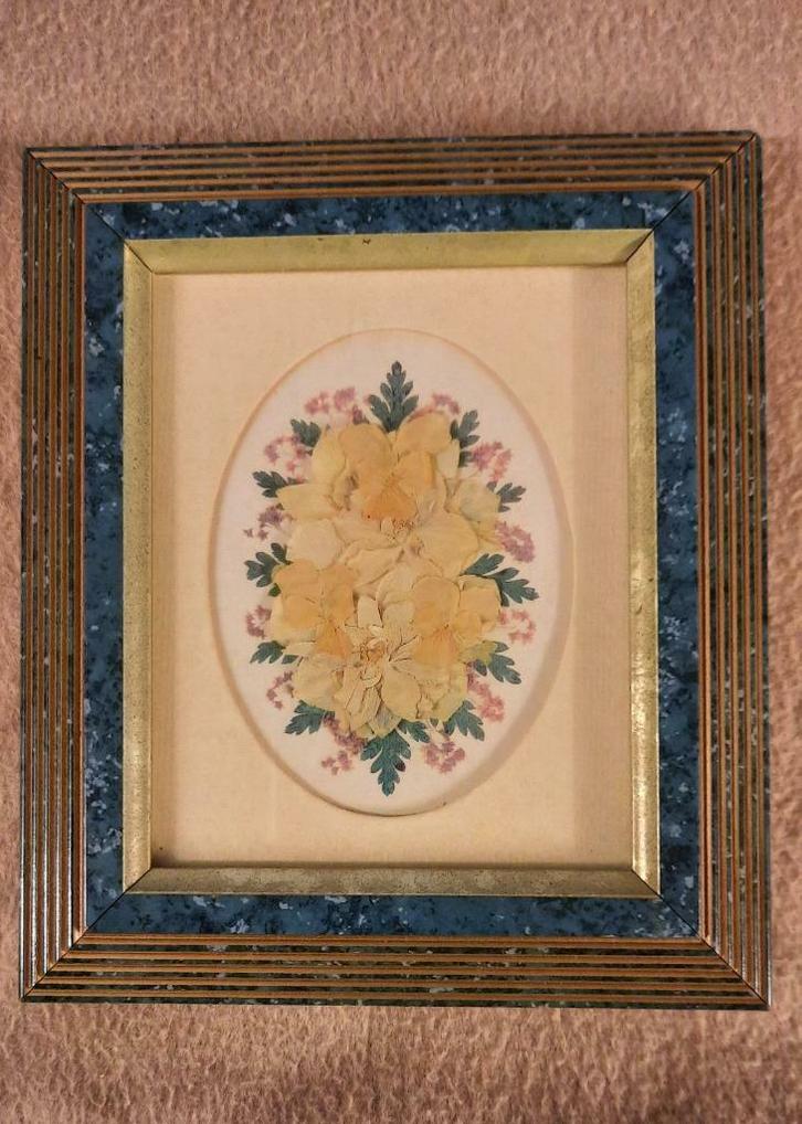 Vintage GEPERST GEDROOGDE bloemen van Ierland Breda Hayden, Huis en Inrichting, Woonaccessoires | Lijsten, Zo goed als nieuw, Ophalen of Verzenden