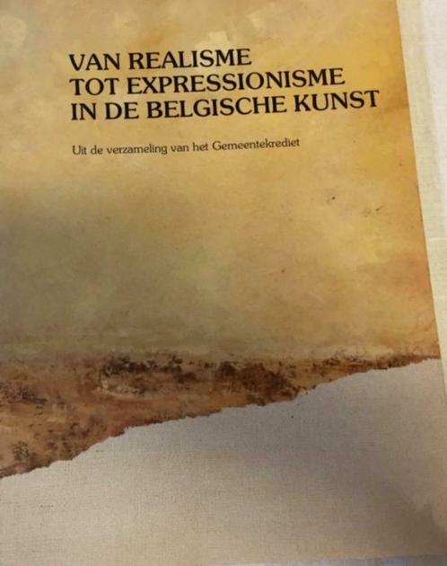Van realisme tot expressionisme in de Belgische kunst, Boeken, Kunst en Cultuur | Beeldend, Nieuw, Schilder- en Tekenkunst, Ophalen of Verzenden