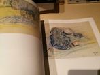 Henry van de Velde monografie schilderijen en tekeningen 200, Boeken, Ophalen of Verzenden, Zo goed als nieuw, Schilder- en Tekenkunst