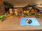 playmobil 3120, Kinderen en Baby's, Speelgoed | Playmobil, Ophalen of Verzenden, Gebruikt, Complete set