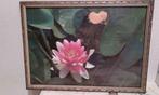 kader met waterlelie achter glas/cadre avec fleur derrière v, Maison & Meubles, Bois, Moins de 50 cm, Enlèvement, Utilisé