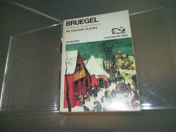 Breugel – Arturo Bovi La vie et l'œuvre de l'artiste, Peinture et dessin, Enlèvement ou Envoi, Arturo Bovi, Comme neuf