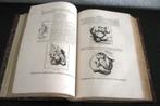 Histoire de la Caricature & Grotesque 1867 Wright Karikatuur, Antiquités & Art, Enlèvement ou Envoi