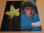 Paul Hardcastle 12 "1985 Rain Forest 45RPM Electro Funk, 12 pouces, Autres genres, Enlèvement ou Envoi