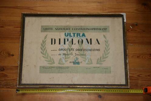 oud diploma Boechout 'uitstallingsprijskamp' 1951-1952, Antiquités & Art, Antiquités | Livres & Manuscrits, Enlèvement ou Envoi